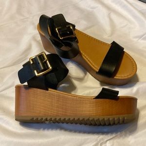 Coconuts by Matisse size 7M